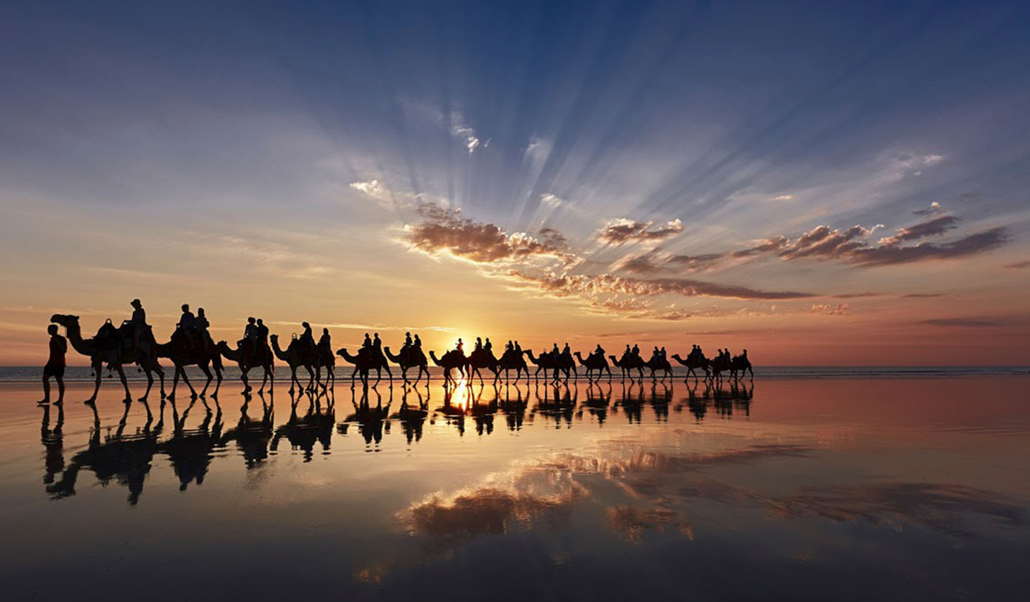 24 сентября 2015. Международный день караванщика 24 сентября. Верблюды в пустыне на закате. Открытка с днем караванщика.