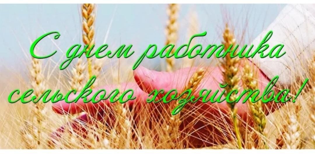 День работников сельского хозяйства 12 октября 2025 года