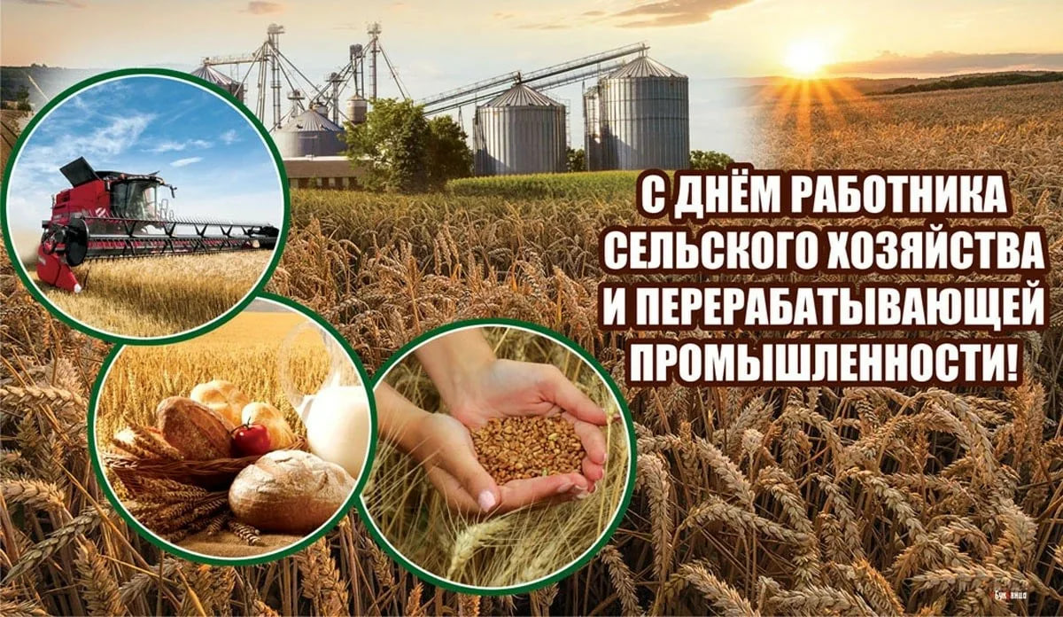 День работников сельского хозяйства 12 октября 2025 года