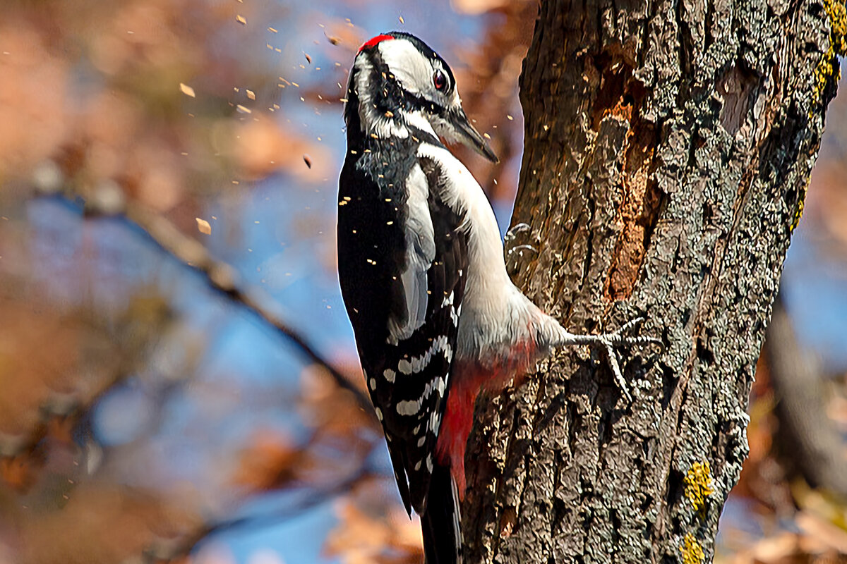 Приметы и поверья на сегодня, 21 октября 2025 года