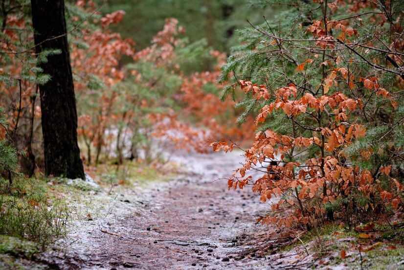 День великомученика апостола Иакова