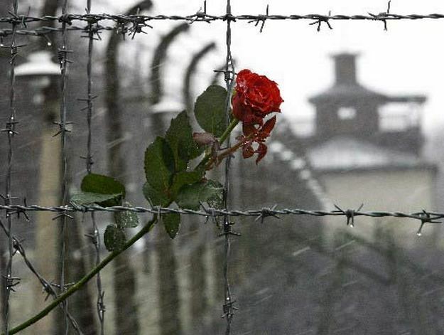 11 апреля — Международный день освобождения узников фашистских концлагерей: трагическая история памятной даты