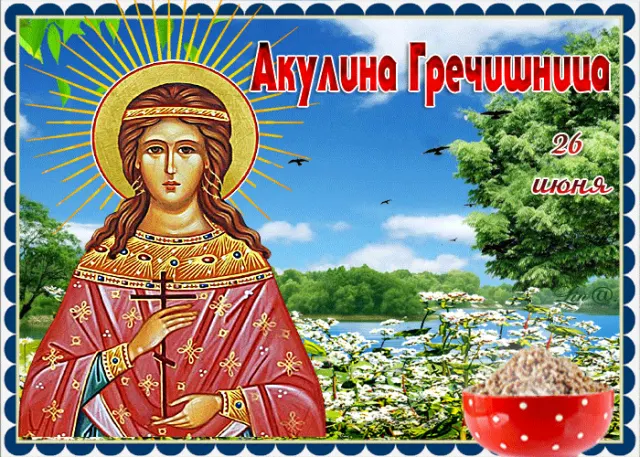 Праздник Акулина Гречишница 26 июня 2023 года: народные приметы, традиции, обряды
