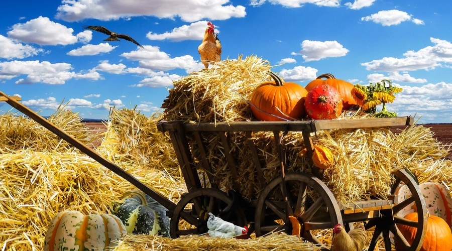 Славянский праздник Осенины, отмечаемый 24 сентября 2023 года, имеет свои традиции