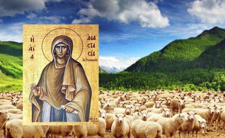 Какие традиции и обряды соблюдают пастухи и хозяева отары в день Авраамия Овчара и Анастасии Овечницы 11 ноября