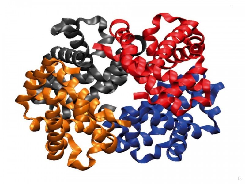 Гемоглобин картинки для презентации