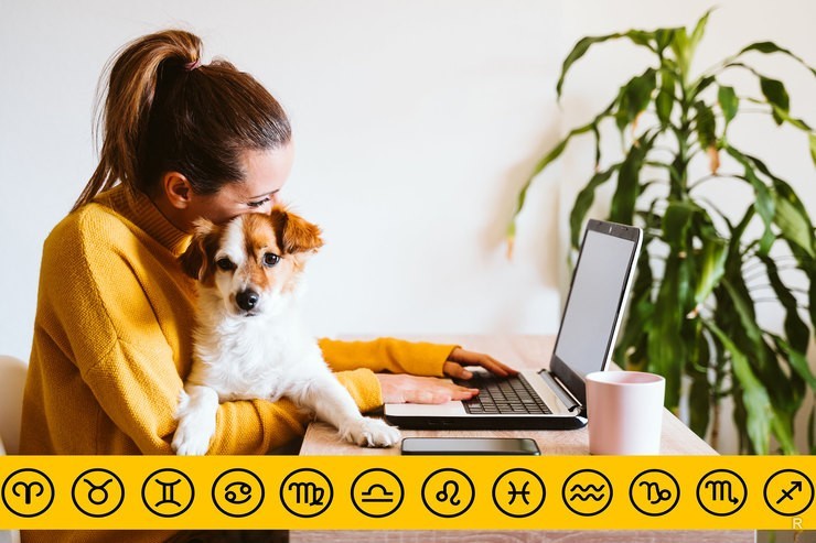 Как знаки зодиака обычно работают на удаленной работе