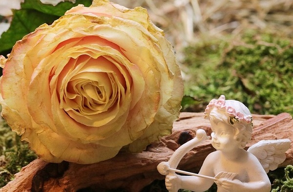 Именинники 3 января