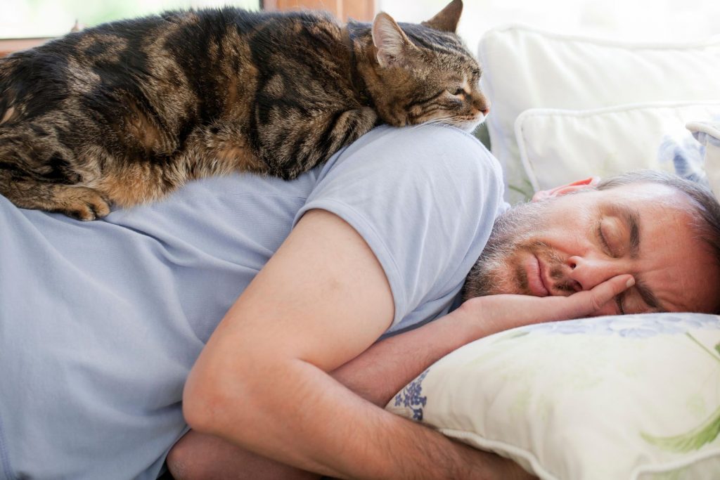 Кошка спит рядом с хозяином в кровати примета