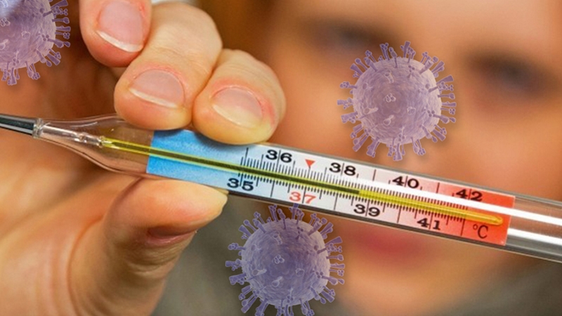 Нужно ли бояться коронавирусную инфекцию и чем она отличается от гриппа