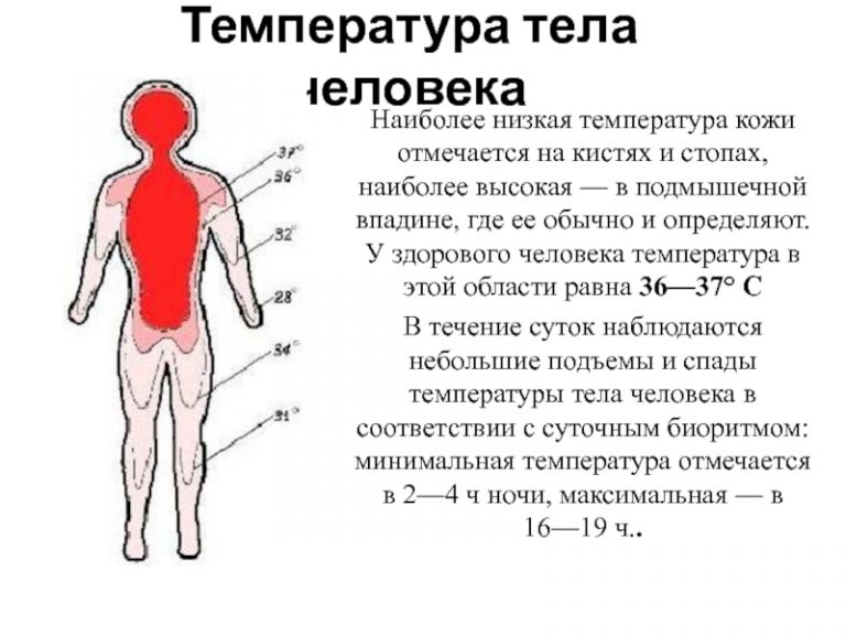 Проект температура тела