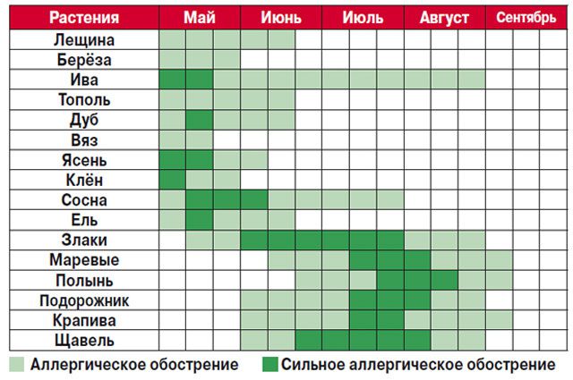 Карта цветения для аллергиков онлайн