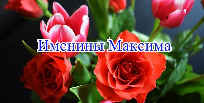 Именины максима картинки поздравления