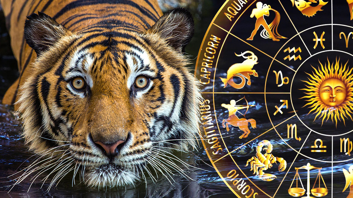 Восточный гороскоп на 2024 год подскажет, чего ждать разным символам