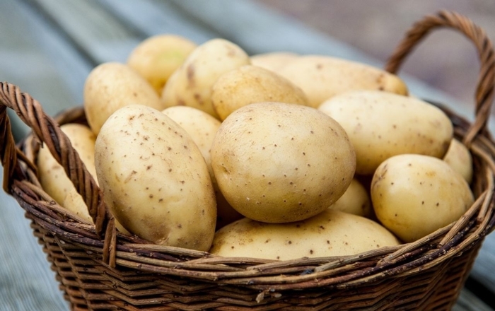 Сорт картофеля с максимальным количеством питательных веществ
