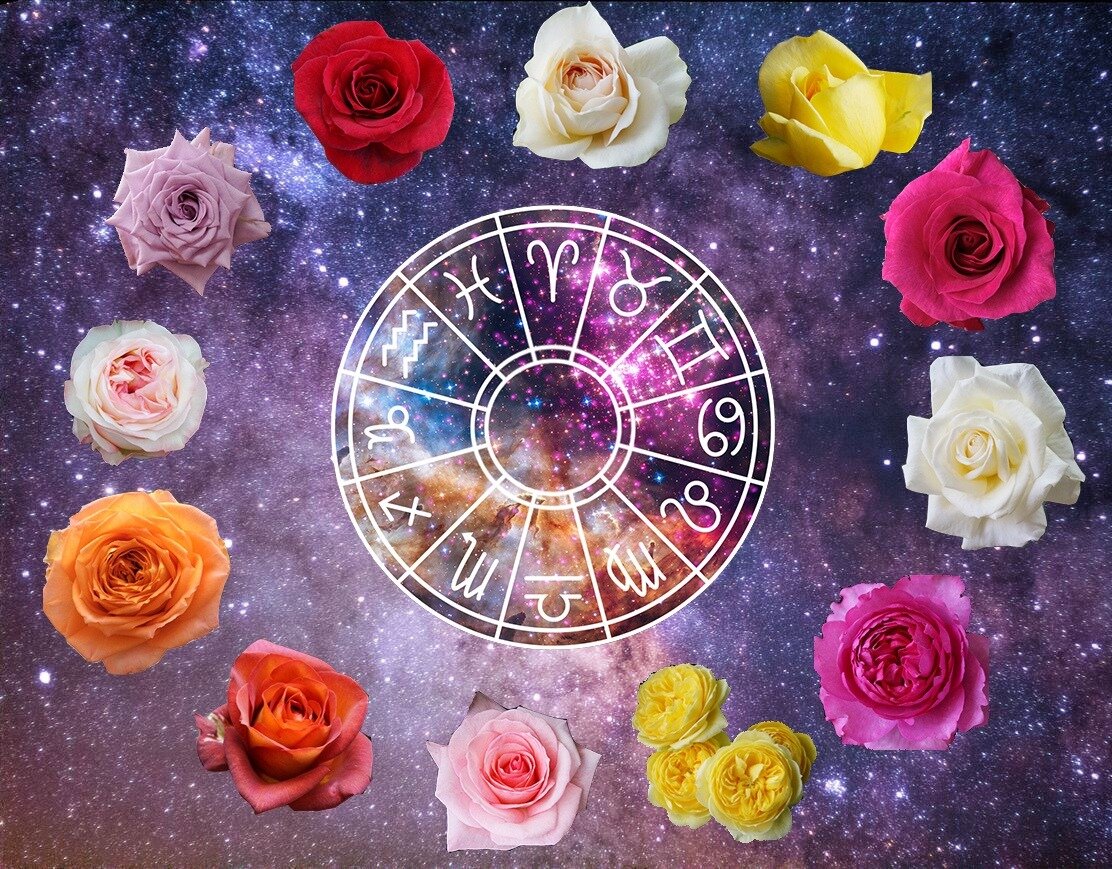 Дева цветок по гороскопу. Цветочная астрология. Гороскоп цветы. Цветы для астролога. Знаки зодиака цветов.