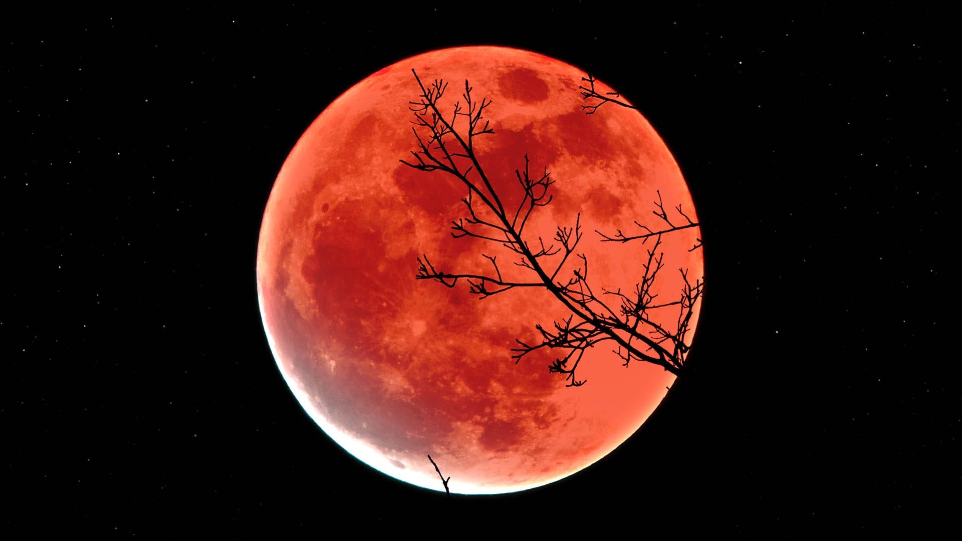 Лунное затмение 2023 октябрь 28 во сколько. Лунное затмение 16 мая 2022. Moon Eclipse 2021. Полнолуние затмение. Полнолуние Кровавая Луна 2022.