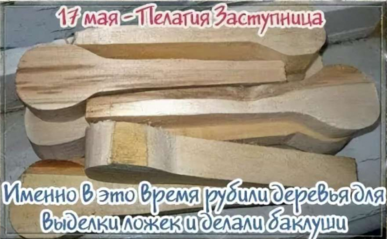 Пелагея заступница день баклушников 17 мая картинки