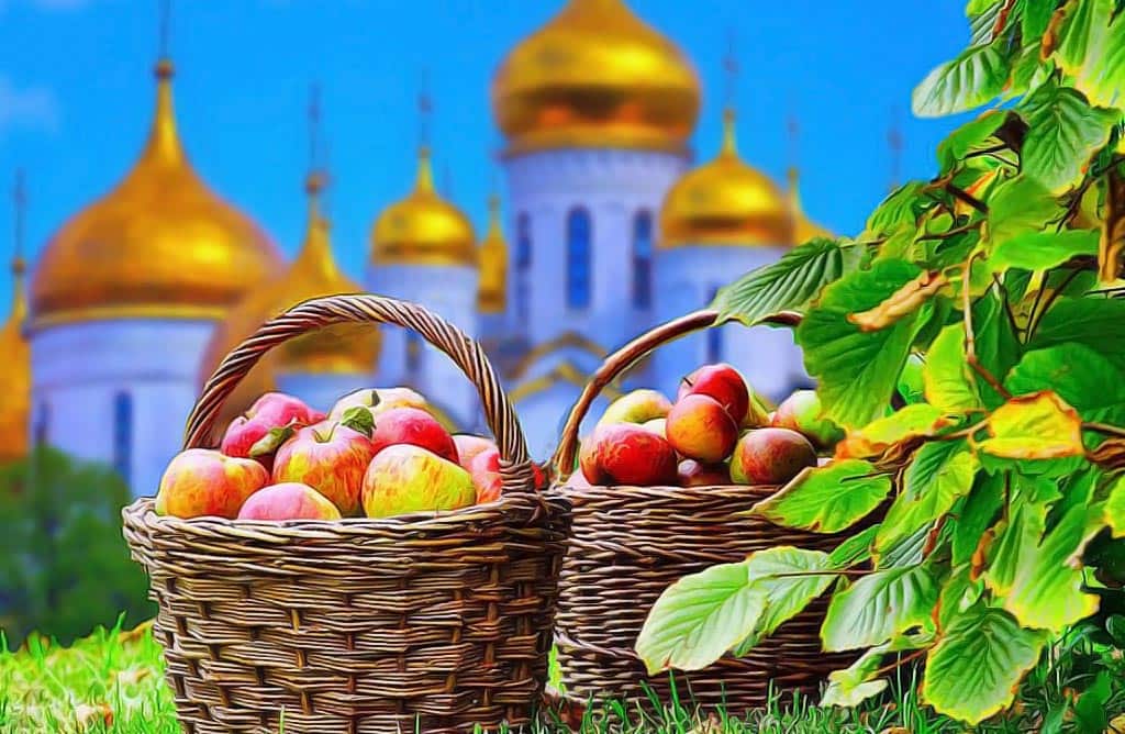 Проект яблочный спас