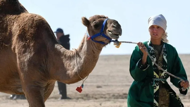 Россияне отмечают много интересных праздников 24 сентября 2025 года