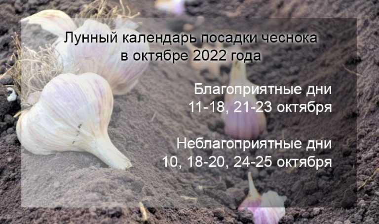 стрижка в мае 2024 благоприятные дни по лунному календарю для женщины