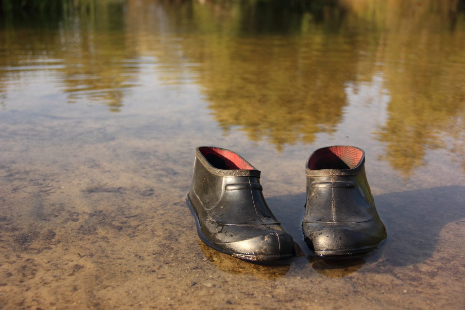 Какие праздники отмечаются 4 февраля 2026 года