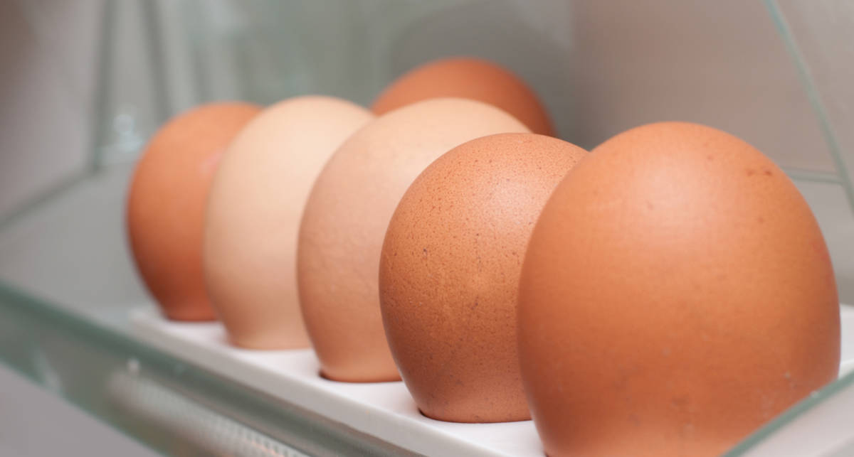 Почему сырые яйца нельзя хранить в холодильнике. Яйца в холодильнике. Яйцо для здоровья женщины. Сохранение яиц. Резинка для яиц мужчине зачем на яйца.