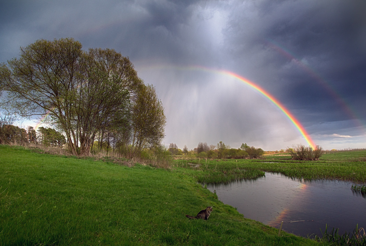 Foto weather. Пейзаж с радугой. Весенний пейзаж с радугой. Пейзаж река Радуга. Весенний дождь Радуга над рекой.