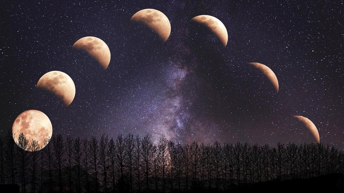 Магия Луны: как ее фазы влияют на продуктивность знаков зодиака
