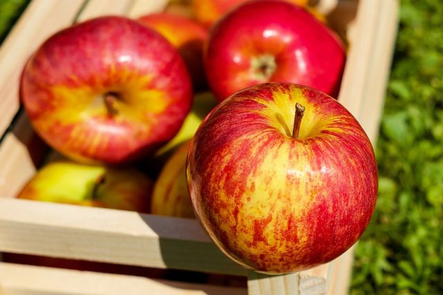 Основные причины, почему обязательно надо есть яблоки