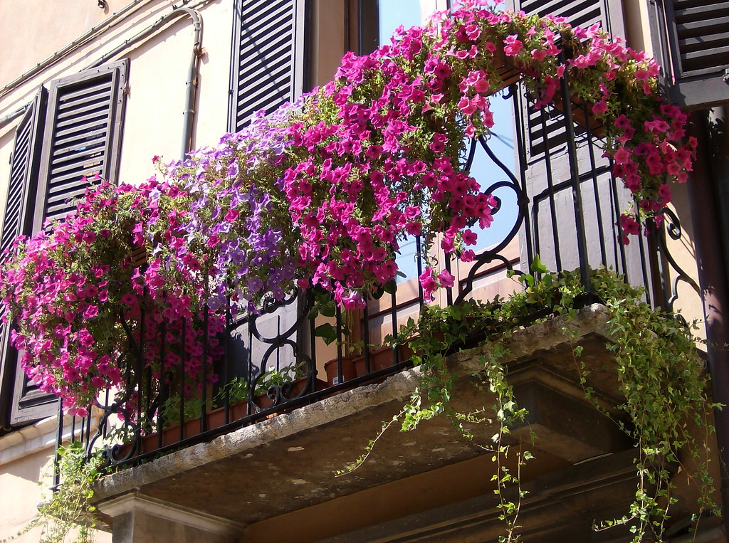 Северный балкон. Петуньи балкон Джульетты. Ампельная фуксия на французском балконе. Цветущий балкончик Сицилия. Ампельная петунья на балконе в Италии.