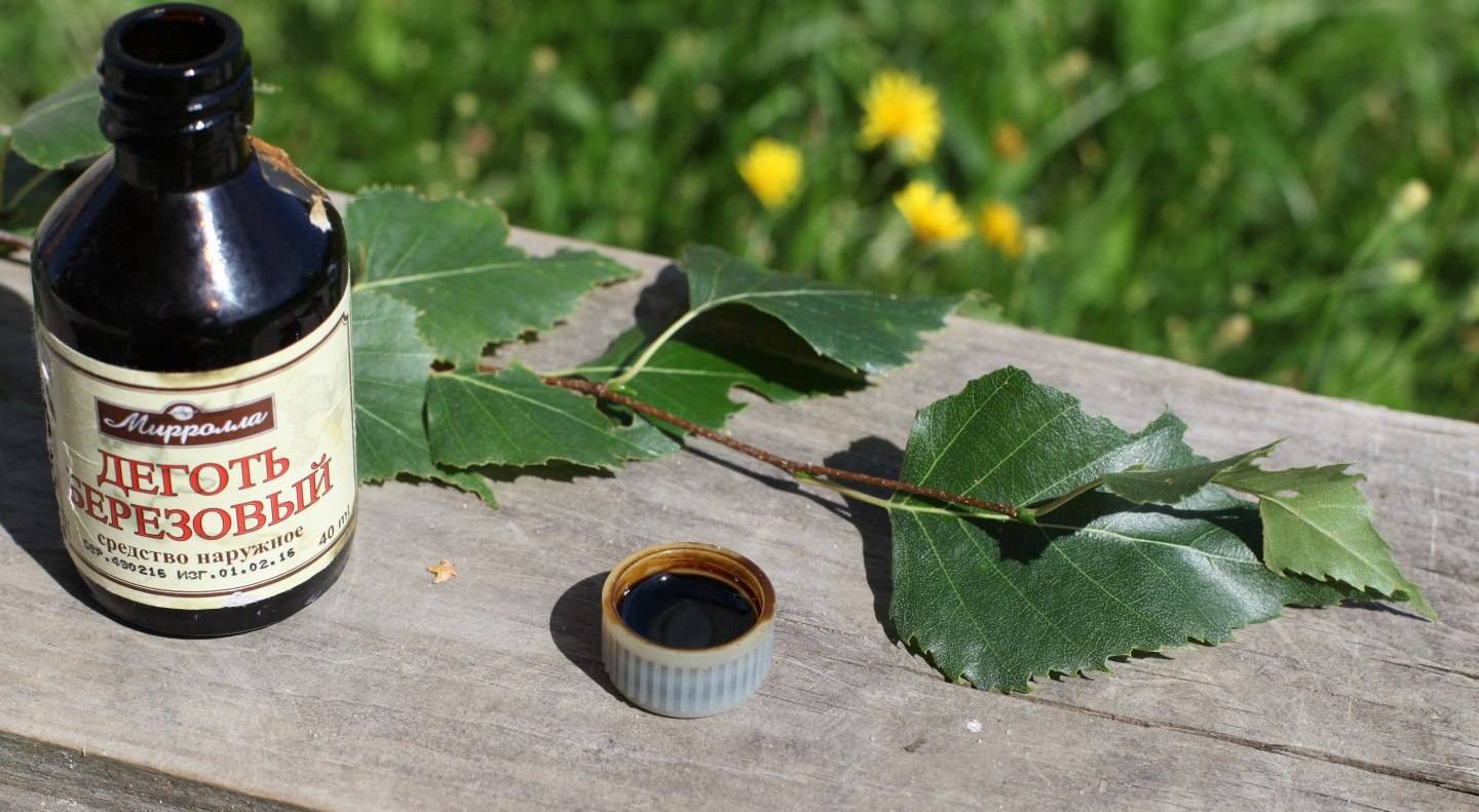 Обработка курятника березовым дегтем