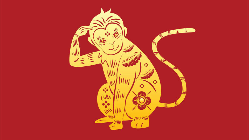 Ум, сообразительность и эксперименты: главные черты Обезьяны и ее совместимость с другими знаками китайского зодиака