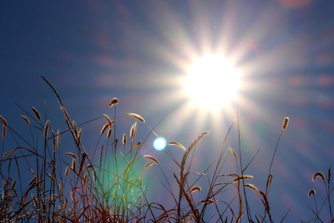 Августовское солнце: точный прогноз магнитных бурь и шторма на последний летний месяц