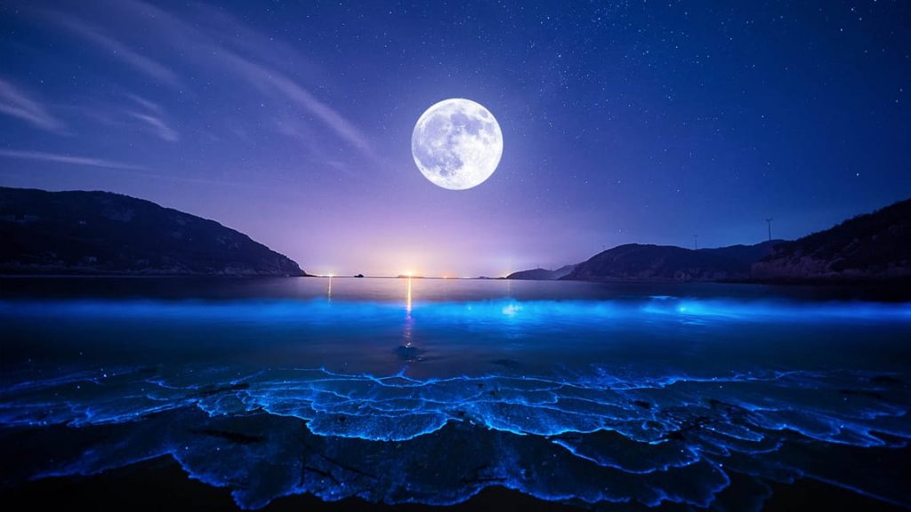 Волшебство Голубой Луны и Суперлуния в Рыбах: что можно и нельзя делать 31 августа 2023 года