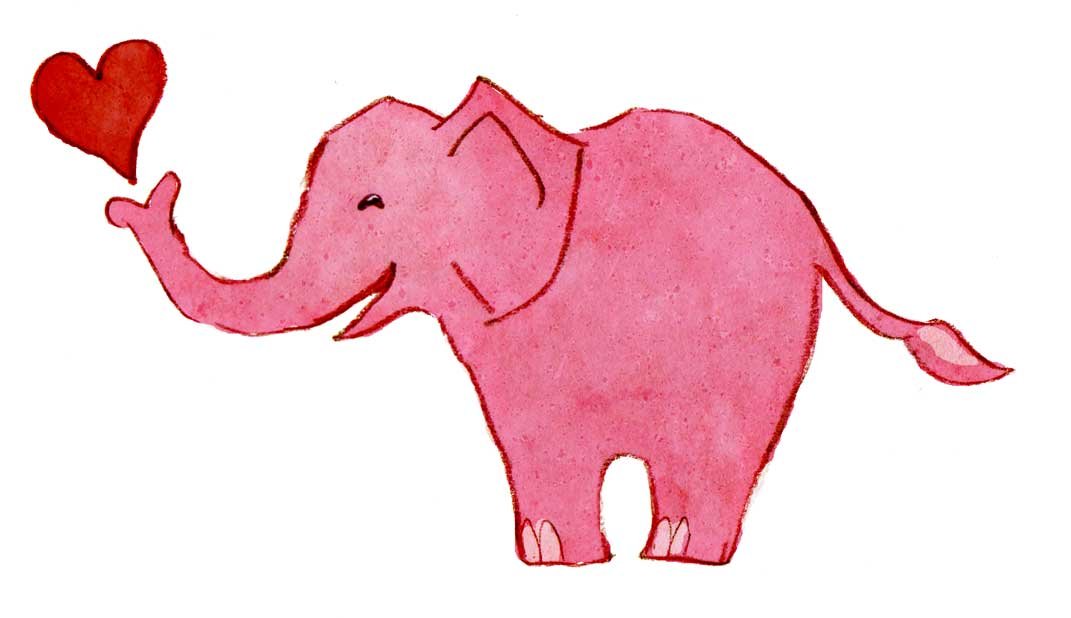 Как объяснить парадокс розового слона, как он влияет на наши эмоции и решения