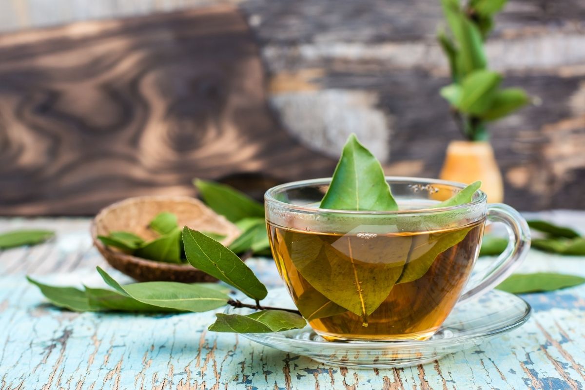 Как приготовить чай из листьев. Чайный лист. Чай из лаврового листа. Листья чая. Чай из лавровых листьев.