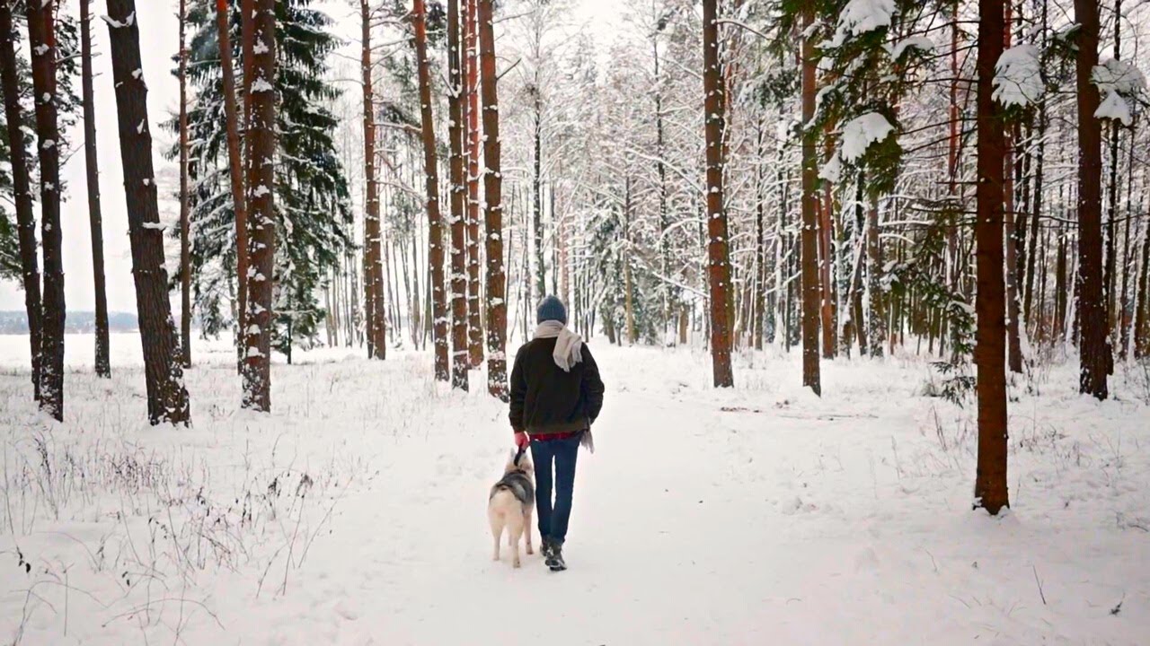 День святого Романа 10 декабря: