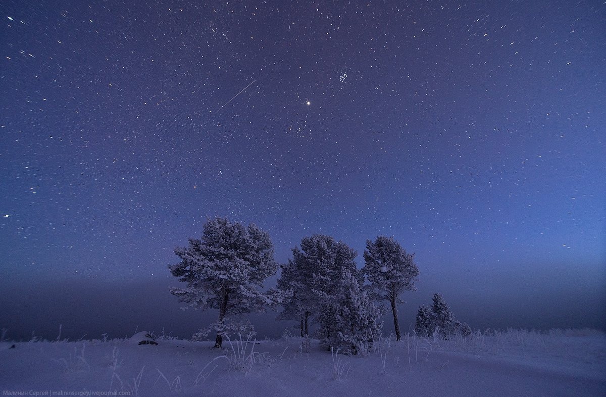 14 февраля Трифон-мышегон