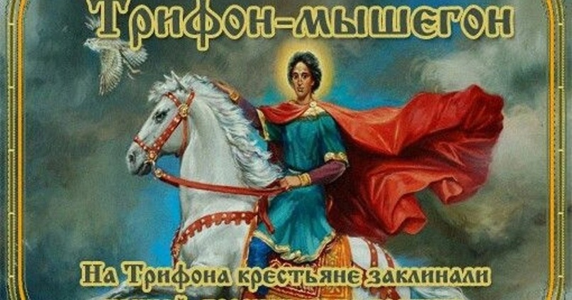 14 февраля Трифон-мышегон