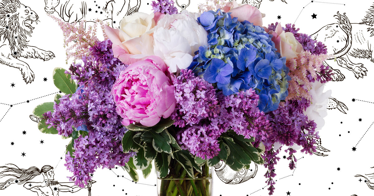 Лучший букет для нее: какие цветы подарить на 8 марта женщине по знаку зодиака