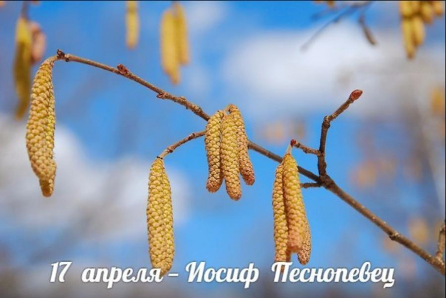 Иосиф Песнопевец или Ольховые смотрины