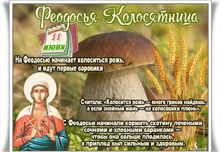 Церковный праздник 11 июня