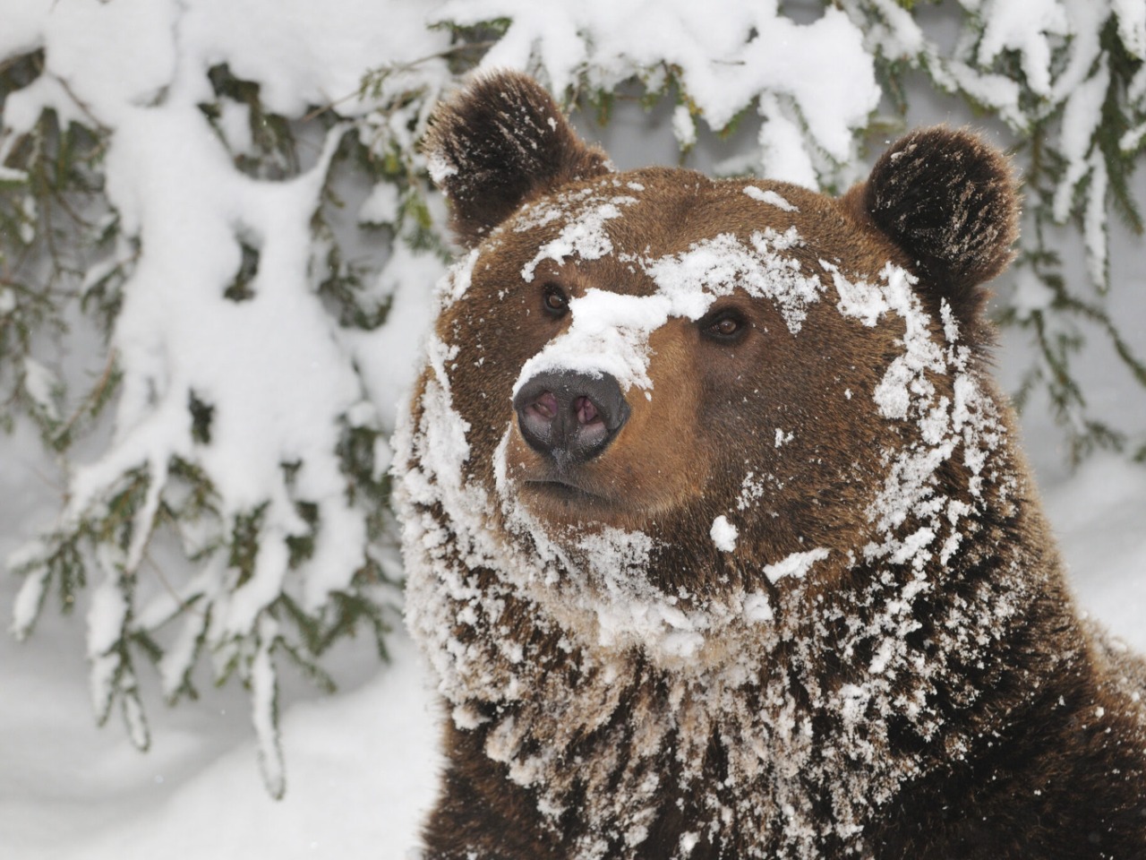 Праздники 13 декабря