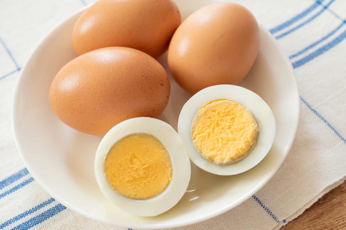 эти вкусные закуски сжигают жир на животе