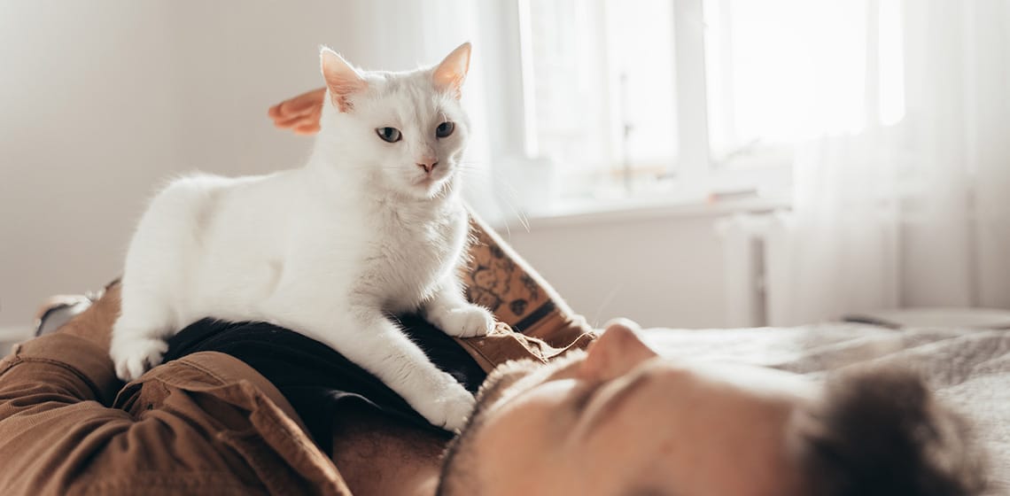 Как понять, что кошка вас действительно любит