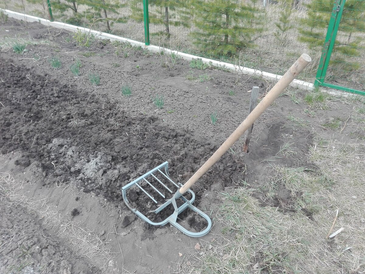 Ничуть не хуже: чем, кроме лопаты, можно быстро вскопать землю