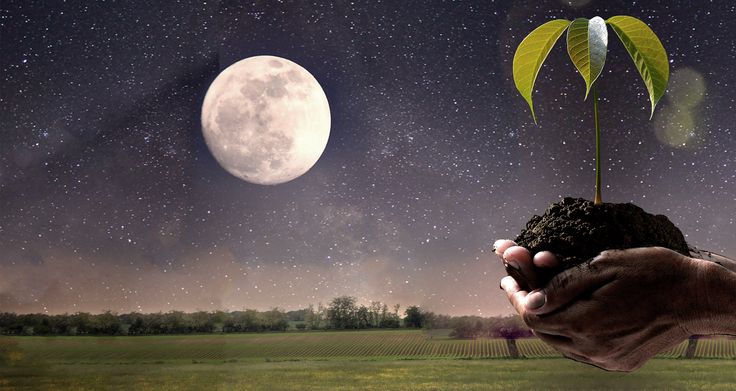 календарь дачника на июль 2025