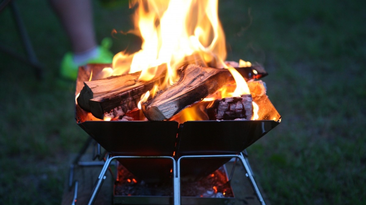 Секрет вкусного и сочного шашлыка: на каких дровах жарить мясо
