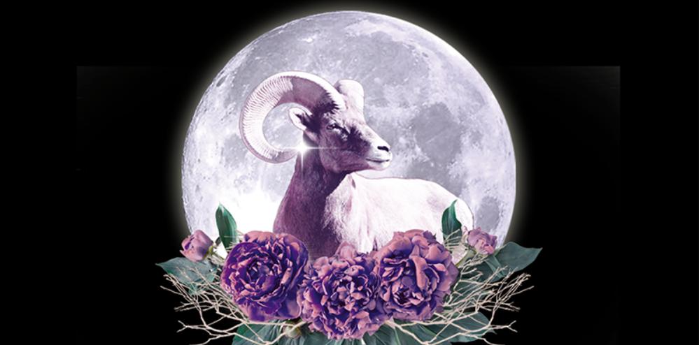 В какие магические дни нужно сжигать лавровый лист с шепотком